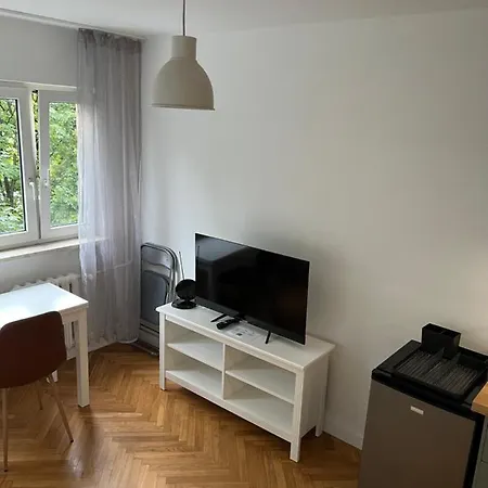 Przytulna Kawalerka Typu *