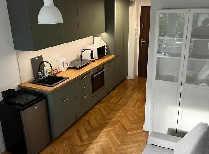 Przytulna Kawalerka Typu *